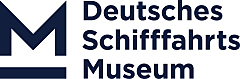 dsm_logo