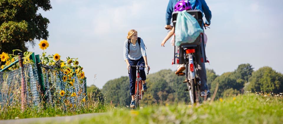 Drei Personen auf Fahrrädern genießen das sommerliche Grün